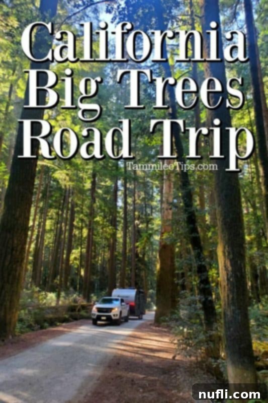 California Big Trees Road Trip text over a truck driving through the Redwoods