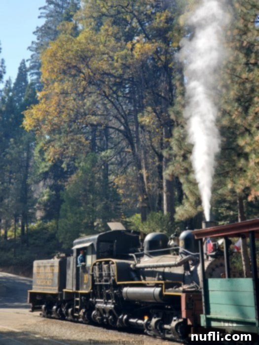 Yosemite sugar pine railroad engine with steam blowing out of it