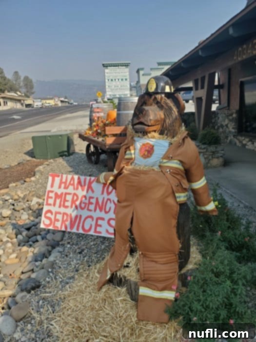 Wooden bear in a firefighter outfit and a sign thank you emergency services 