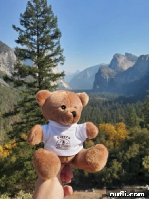 Stuffed teddy bear wearing a Sierra shirt at Yosemite Tunnel View