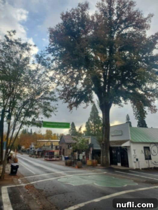 Murphys California with a shamrock in the middle of the road