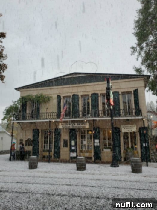snow falling in front of the Murphys Hotel 