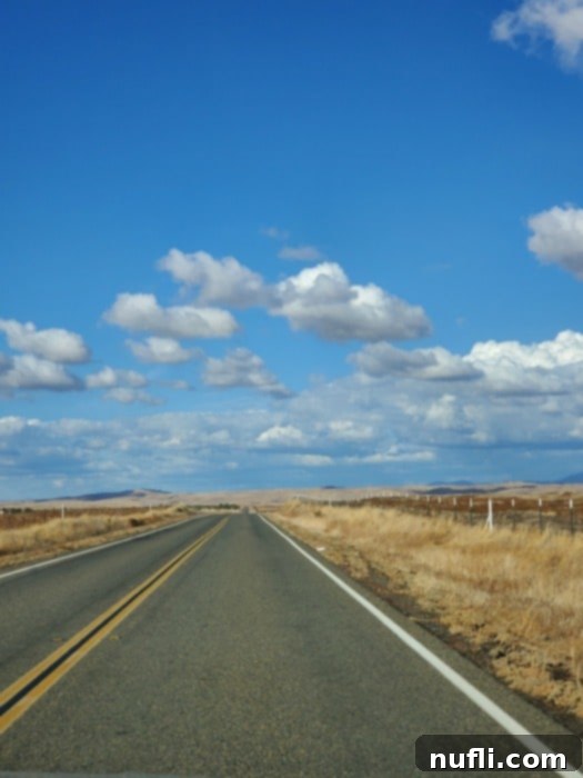 gorgeous blue sky and fluffy cloud day with a road leading through brush land