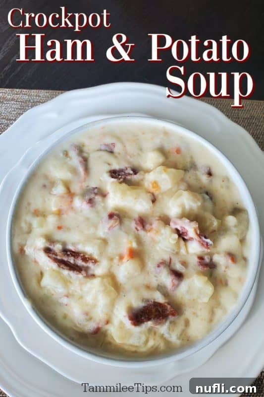 Easy Crockpot Ham and Potato Soup 2 Crockpot Ham and Potato Soup over a bowl of soup