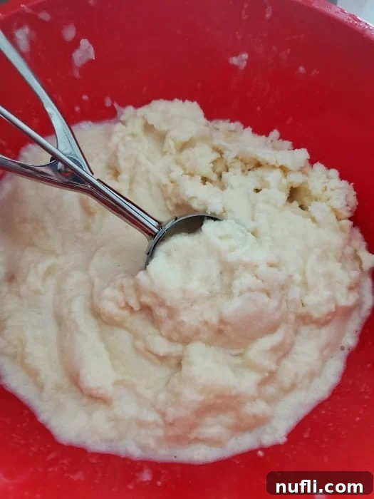Snow ice cream in a red bowl with an ice cream scoop