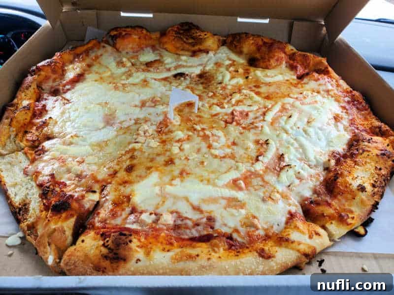 Spokane's Top Pizza Spots 6 Cheese pizza in a cardboard delivery box