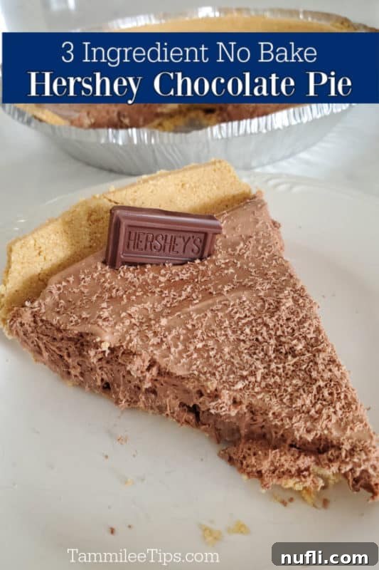 A slice of delicious 3-ingredient no-bake Hershey's chocolate pie on a white plate, showcasing its creamy texture and rich color, with the full pie blurred in the background.