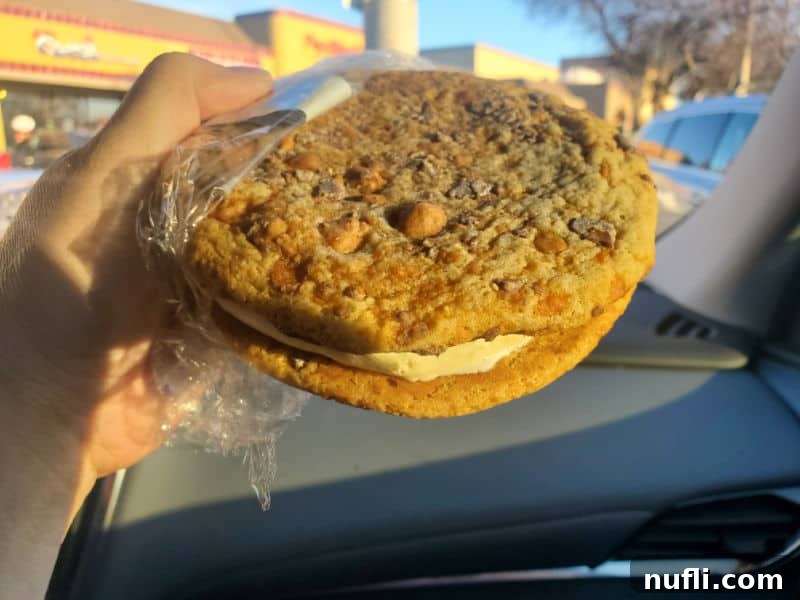 ice cream cookie sandwich being held