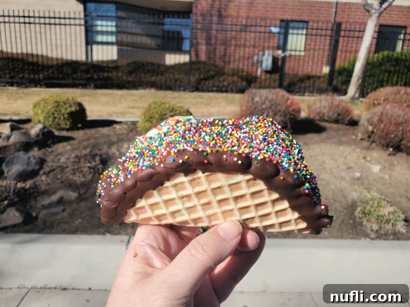 hand holding an ice cream taco from The Scoop