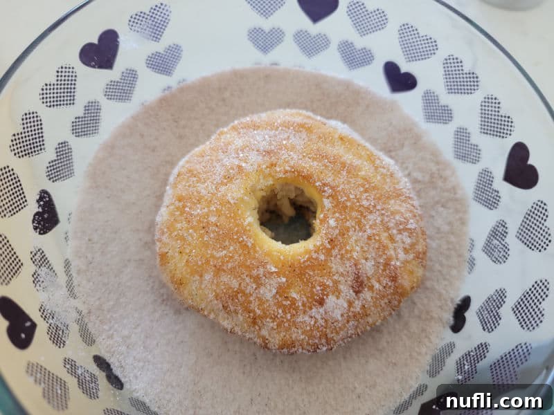 Air fryer donut in a bowl of cinnamon sugar. 