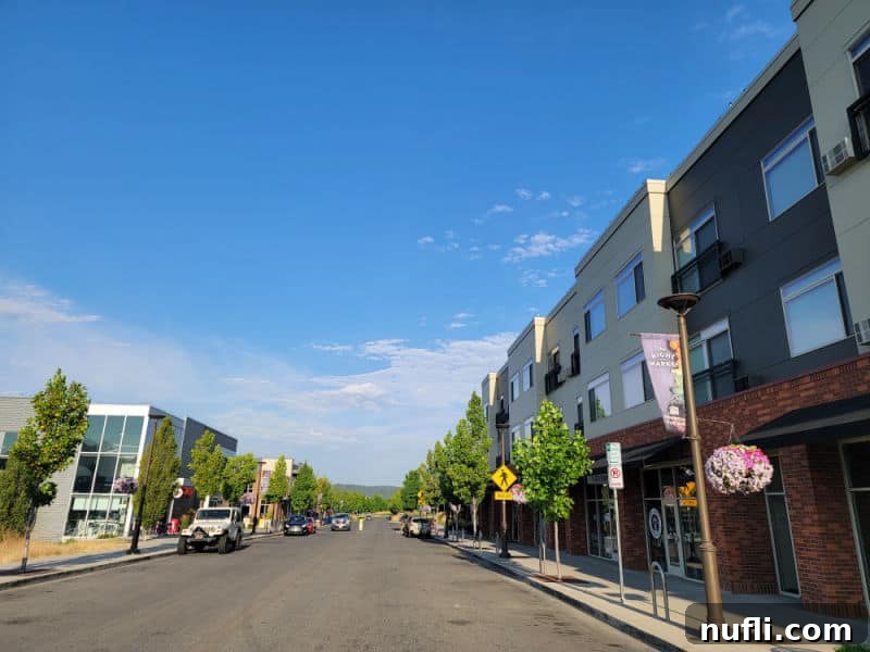 street with buildings on both sides and flower bushes hanging from poles