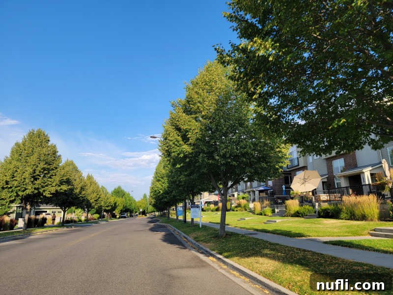 Tree lined street with buildings on the edge of the photo 