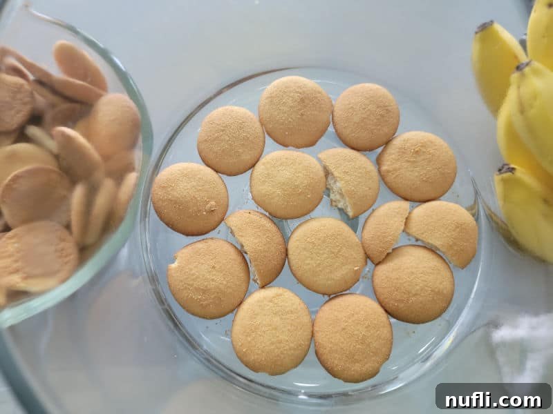 First layer of Nilla wafers arranged at the bottom of a glass trifle dish.