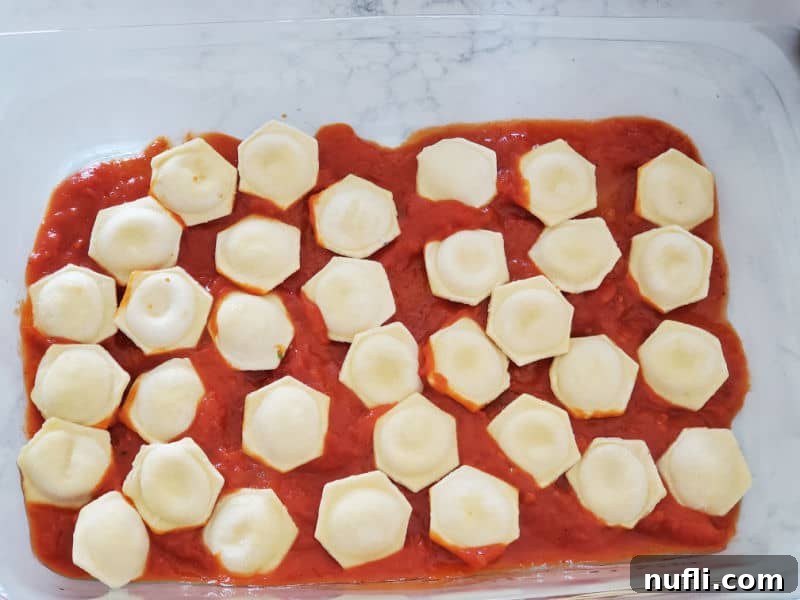 Frozen round ravioli neatly arranged in a single layer over the marinara sauce in a glass casserole dish.