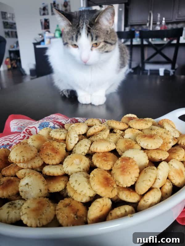 A cute cat with curious eyes observing a white bowl filled with dill oyster crackers, adding a touch of charm to the scene.