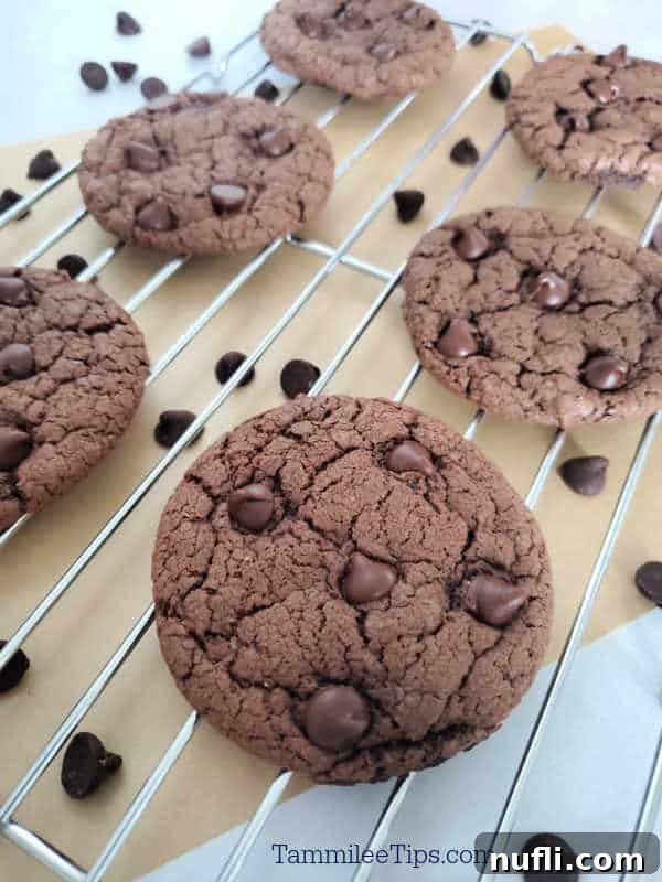 Freshly baked Devils Food chocolate cake mix cookies cooling on a wire rack, with scattered chocolate chips for garnish.