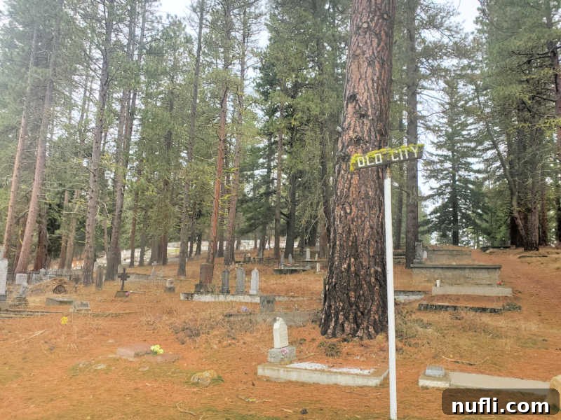 Old City in Roslyn Cemetery