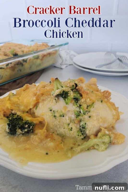 A white plate featuring a generous serving of Cracker Barrel Broccoli Cheddar Chicken, showcasing juicy chicken covered in a golden cheese sauce and vibrant green broccoli florets, ready to be enjoyed.