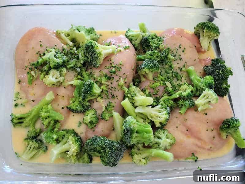 Unbaked Cracker Barrel Broccoli Cheddar Chicken casserole in a glass baking dish, showing chicken breasts, broccoli florets, and a creamy cheese soup mixture spread evenly.