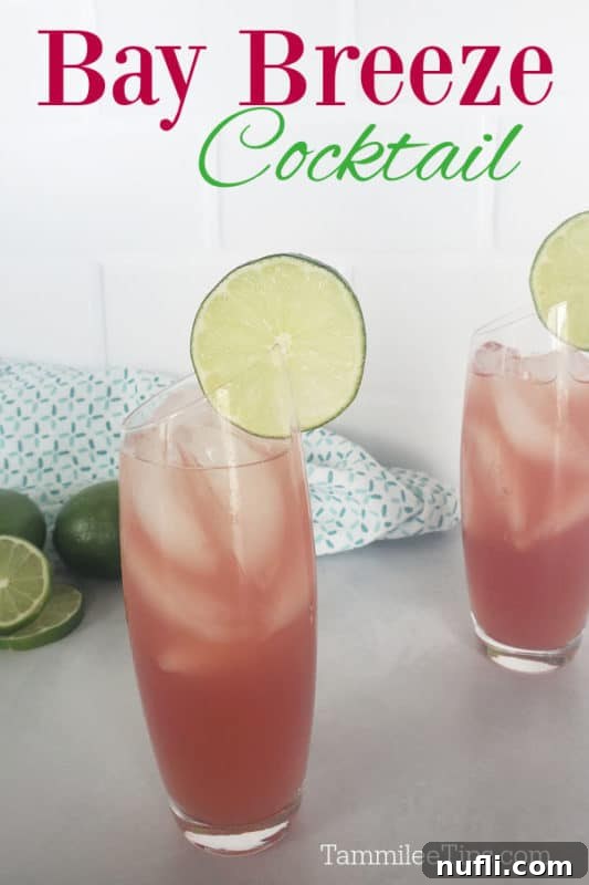Two glasses of Bay Breeze Cocktails garnished with lime circles, with the text 'Bay Breeze Cocktail' at the top.