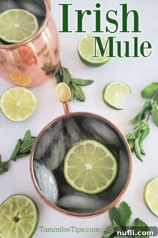 Irish Mule Cocktail and Mocktail Recipe Video 2 Irish Mule text over two copper mugs with ice and lime wheels, surrounded by mint and limes