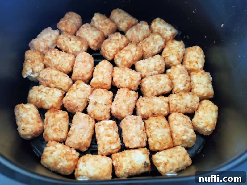 frozen tater tots in air fryer basket before cooking