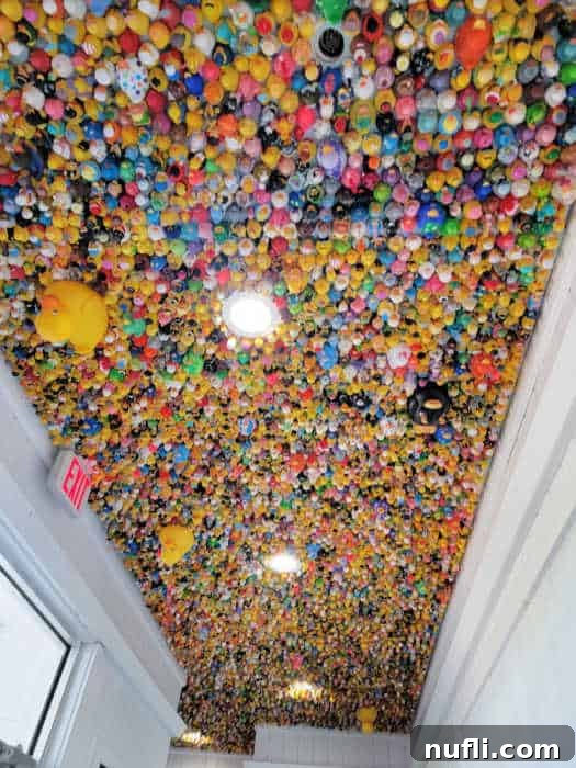 hundreds of rubber duckies attached to the ceiling by the exit sign. 
