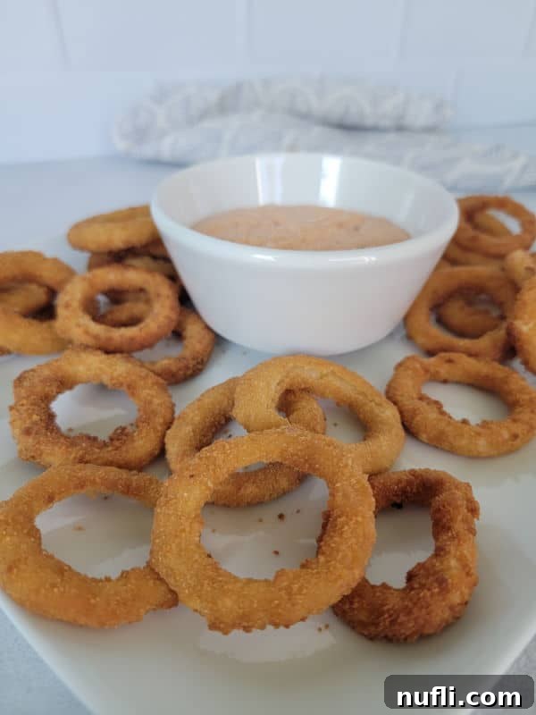 a plate with onion rings and dipping sauce in a bowl