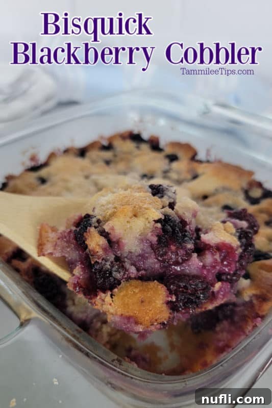 Bisquick Blackberry Cobbler in a glass baking dish with a wooden spoon scooping out a serving.