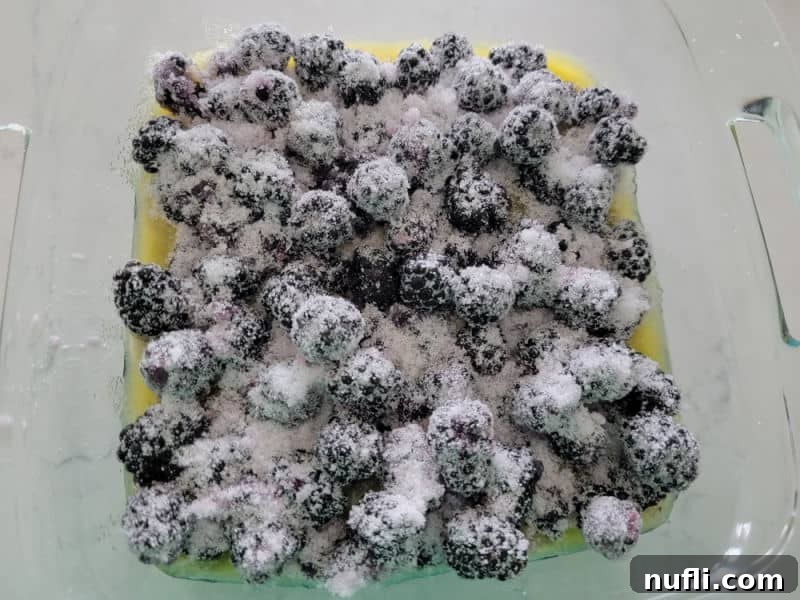 Blackberries covered in sugar poured over the Bisquick mix and butter in a glass baking dish.