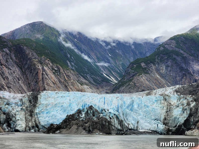 glacier with mountains and trees near it