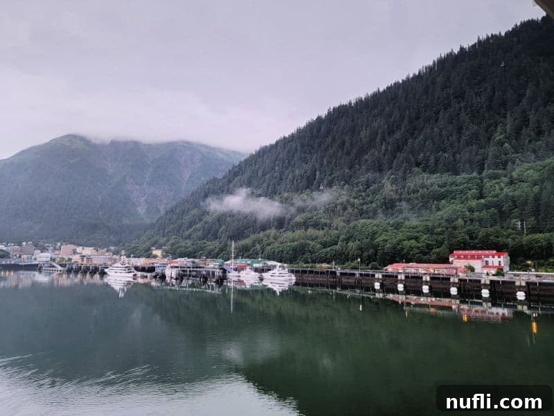 looking over the water to yachts and boats and mountains covered in trees