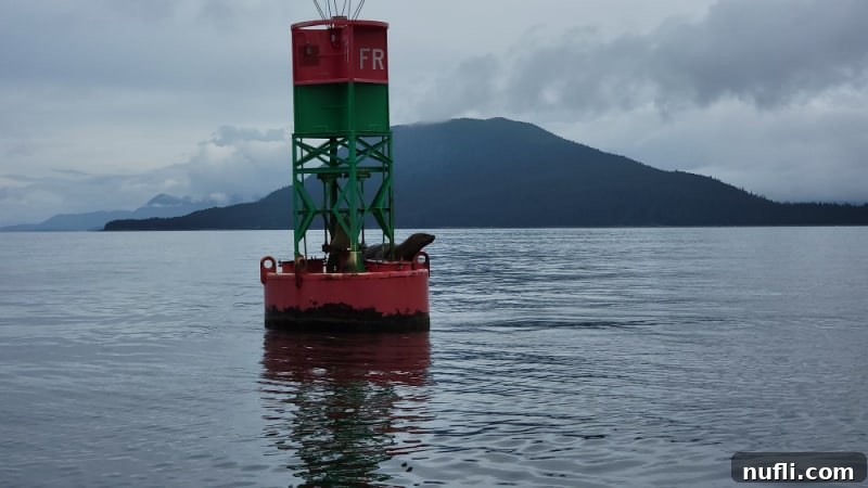 Seal sitting on a red and green buoy 