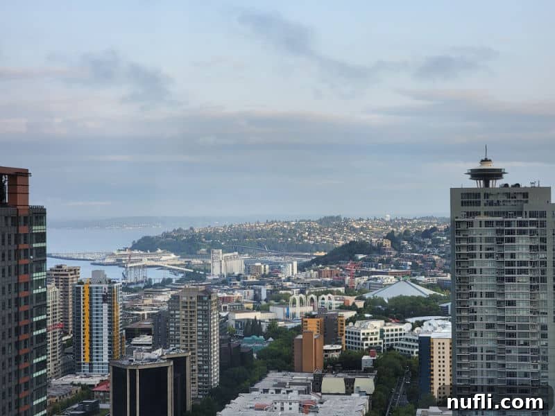 Seattle skyline with a cruise ship in the distance and the Space needle