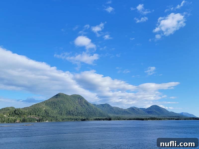 mountains covered in hills seen over the water on a nice day