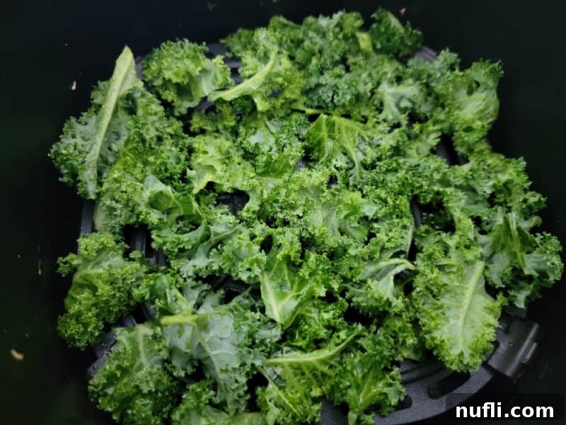Chopped and seasoned kale in an air fryer basket, ready for air frying.