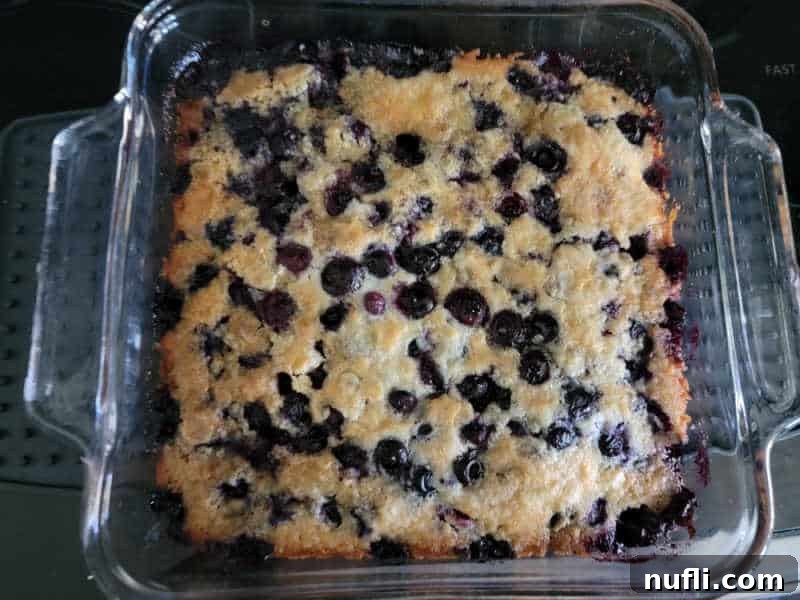 Baked blueberry cobbler in a glass baking dish