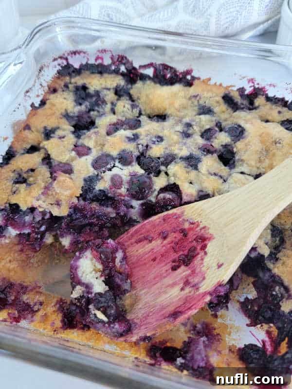 Wooden spoon covered in blueberry juice in a glass baking dish with blueberry cobbler. 