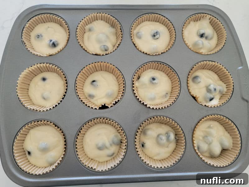 Blueberry muffin batter portioned into paper liners in a muffin tin, ready for baking