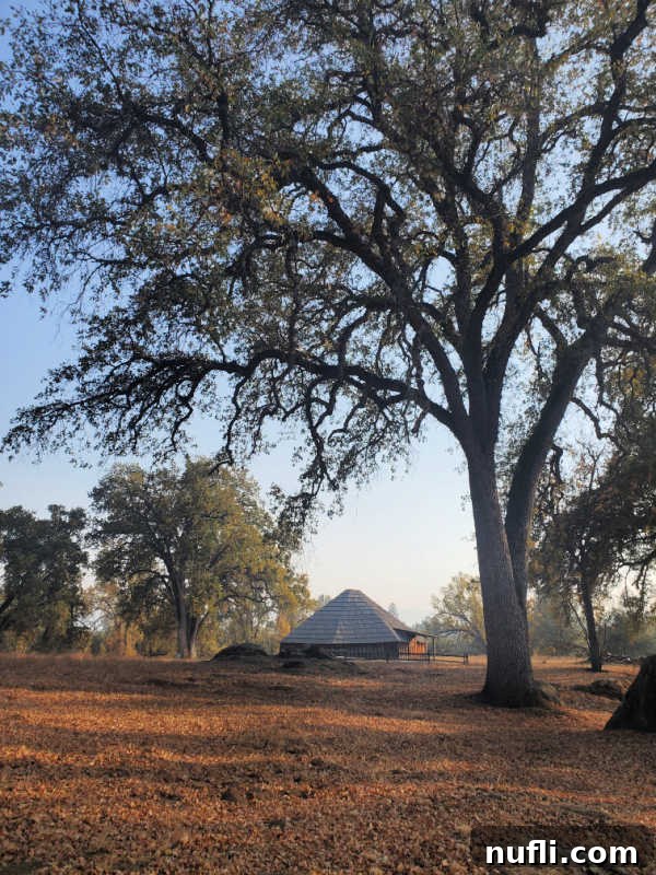Historic roundhouse surrounded by trees and fall leaves