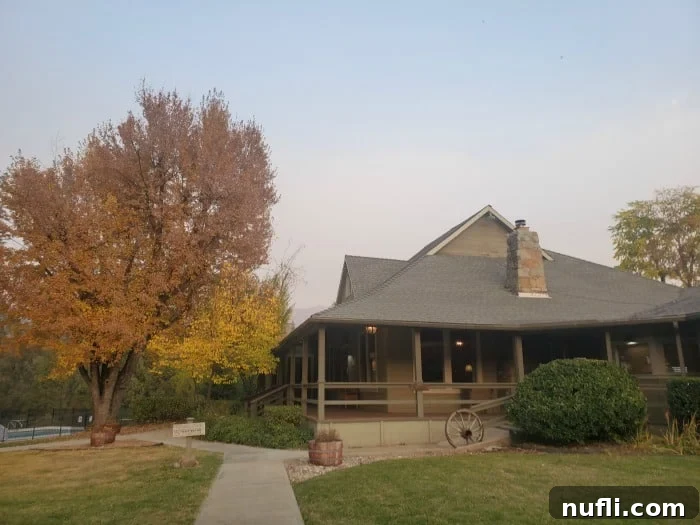 Fall leaf covered tree next to a building with a wagon wheel against it