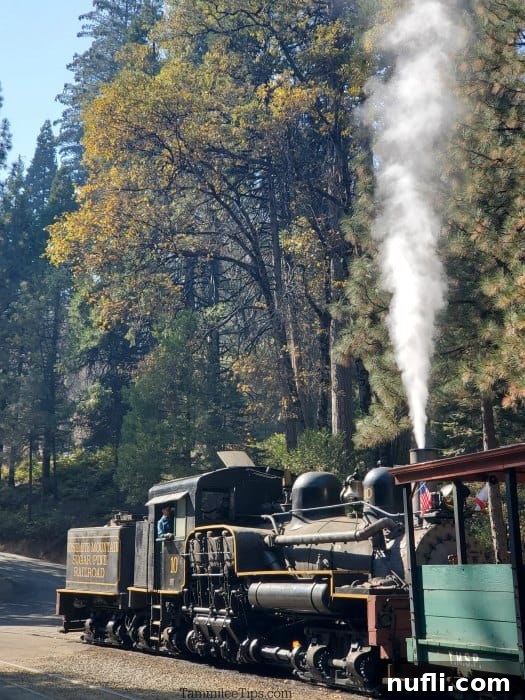 steam coming out of a locomotive with trees near it 