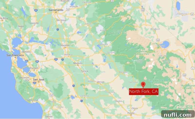 Unlocking North Fork California 3 Map of California with North Fork, CA shown on the map, highlighting its central location.