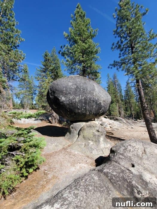 Unlocking North Fork California 5 Globe rock sitting on other rocks with trees behind it, a natural wonder along the scenic byway.