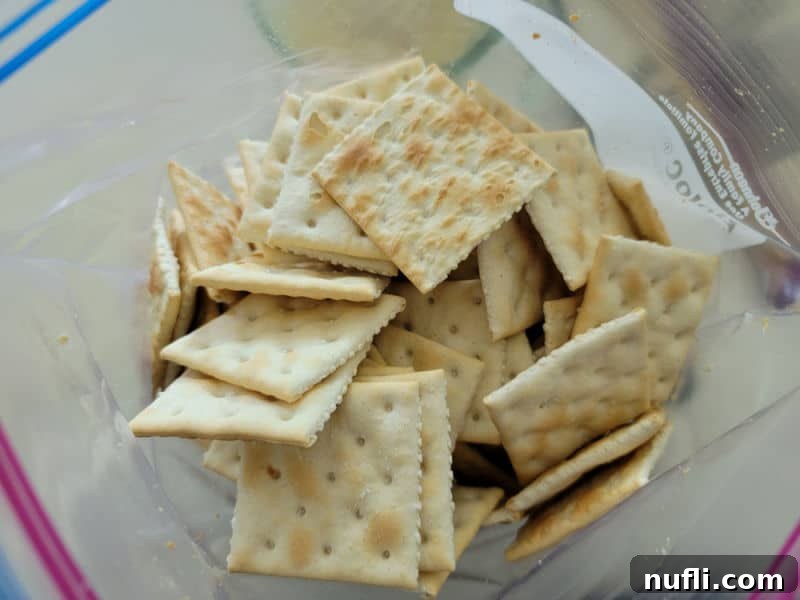 Southern Firecracker Snaps 4 Saltines in a plastic bag