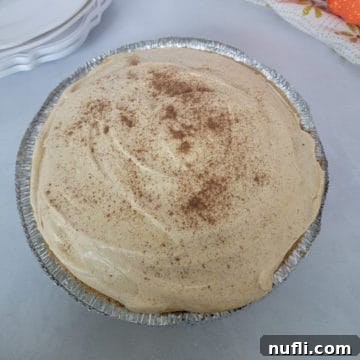 No Bake Pumpkin Pie in a pie dish