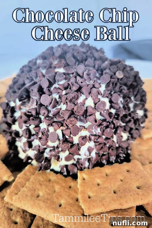 Chocolate Chip Cheese Ball text over a chocolate chip cream cheese ball surrounded by graham crackers.