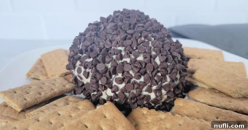 close-up view of a chocolate chip cheese ball surrounded by graham crackers, ready for dipping