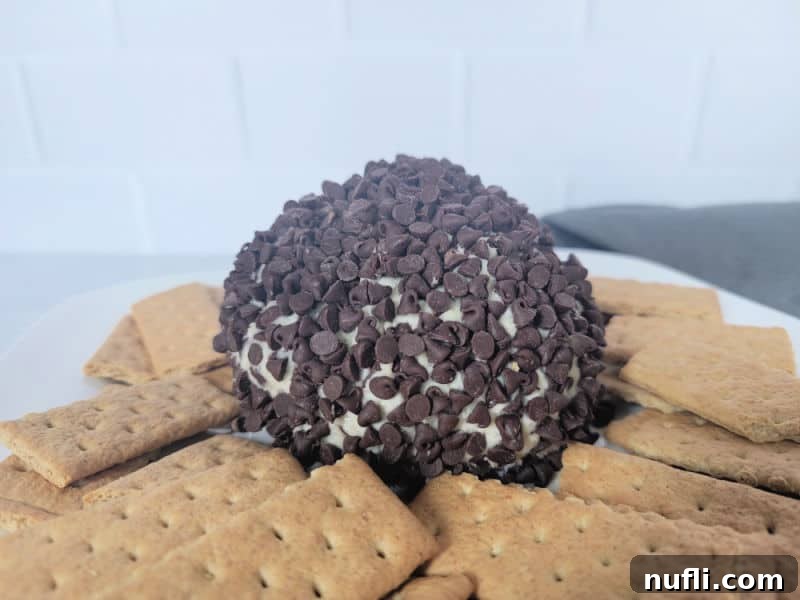 finished chocolate chip cheese ball surrounded by graham crackers on a pristine white plate, ready to serve