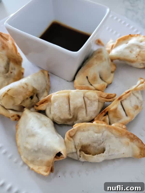 air fried dumplings on a white plate next to dipping sauce